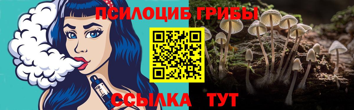 Галлюциногенные грибы прущие грибы Шарыпово
